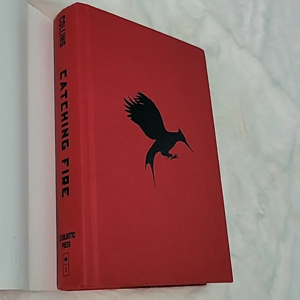 Catching Fire - Picture 4 of 5